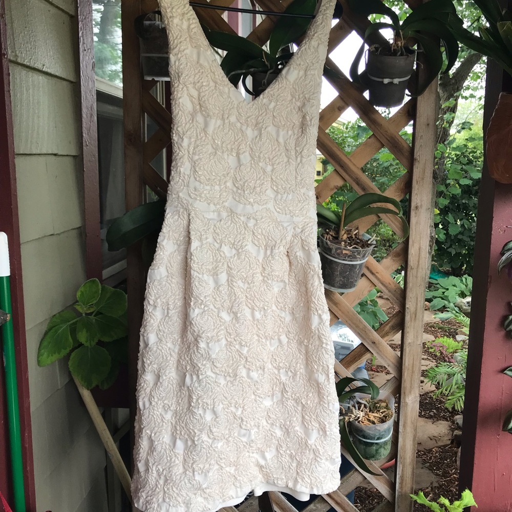 Modcloth Wedding Dress — Lace & Mesh